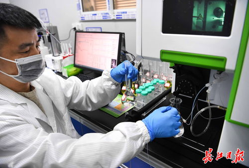 武漢中小企業借腦高校，以專精特新勁頭角逐信息技術賽道